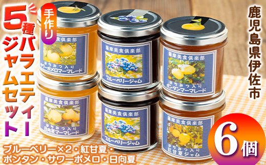 isa476 《数量限定》5種のバラエティージャム食べ比べセット(計6個・ブルーベリー×2、紅甘夏、ボンタン、サワーポメロ、日向夏) 加工食品 果物 フルーツ 詰め合わせ 果肉 柑橘  低糖 ハンドメイド ジャム ギフト マーマレード【薩摩美食倶楽部】