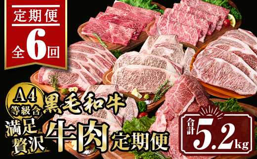 isa513 【定期便６回】満足贅沢 牛肉定期便(合計5.2kg) 肉 牛肉 霜降り すきやき しゃぶしゃぶ 牛しゃぶ サーロイン リブロース ステーキ 冷凍 ロース カタロース 肩ロース BBQ アウトドア【サンキョーミート株式会社】