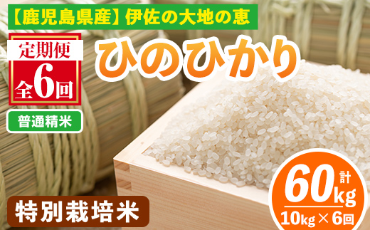 isa517-A 【定期便6回】 ＜普通精米＞令和7年産 鹿児島県伊佐産 特別栽培ひのひかり(計60kg・10kg×6ヵ月) 国産 白米 精米 伊佐米 お米 米 生産者 ひのひかり 定期便 【Farm-K】