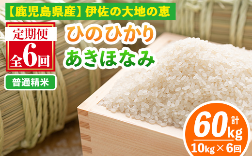 isa518-A 【定期便6回】 ＜普通精米＞令和7年産 鹿児島県伊佐南浦産 ひのひかり5kg・あきほなみ5kg (合計60kg・計10kg×6ヵ月) 国産 白米 精米 伊佐米 お米 米 生産者 ひのひかり あきほなみ 定期便 【Farm-K】