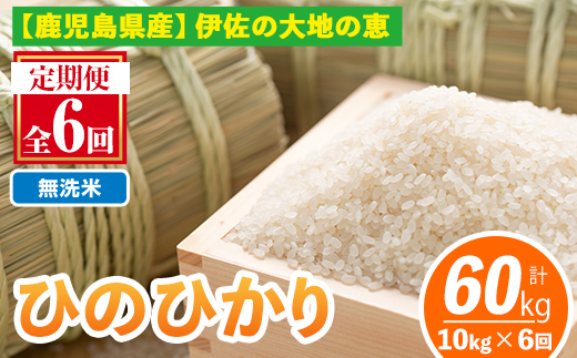 isa520-B 【定期便6回】 ＜無洗米＞令和7年産 鹿児島県伊佐南浦産ひのひかり (合計60kg・計10kg×6ヵ月) 国産 白米 精米 無洗米 伊佐米 お米 米 生産者 定期便 ひのひかり 【Farm-K】