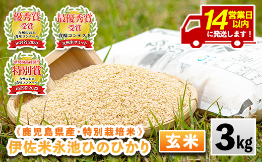 isa535 令和7年産 特別栽培米 永池ひのひかり玄米(3kg) 鹿児島 永池 お米 米 玄米 伊佐米 九州米サミット 食味コンテスト 最優秀賞受賞 ヒノヒカリ 【エコファーム永池】