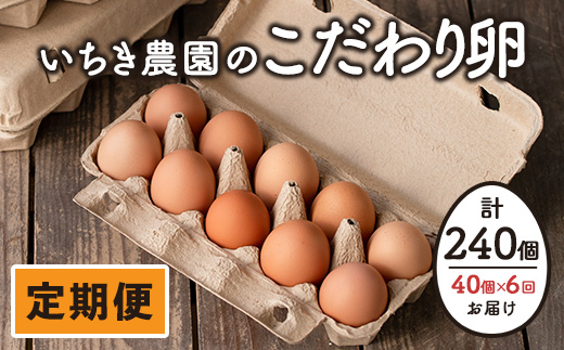 isa542 【定期便】いちき農園のこだわり卵(計240個・40個×6カ月) 平飼い 鶏 たまご 卵 タマゴ 低コレステロール  抗生物質不使用 卵かけご飯 TKG 定期便 【いちき農園】