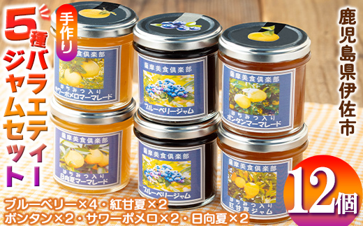 isa553 《数量限定》5種のバラエティージャム食べ比べセット(計12個・ブルーベリー×4、紅甘夏×2、ボンタン×2、サワーポメロ×2、日向夏×2) 加工食品 果物 フルーツ 詰め合わせ 果肉 柑橘  低糖 ハンドメイド ジャム ギフト マーマレード【薩摩美食倶楽部】