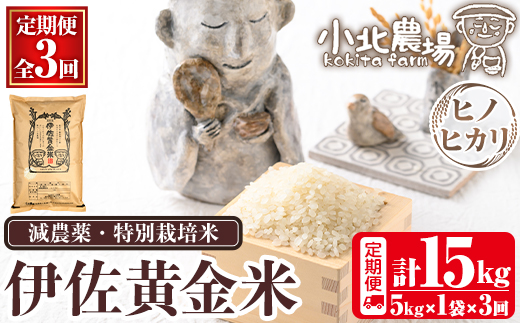 isa601 《数量限定・3回定期便》令和7年産 小北農場のお米 伊佐黄金米〈ヒノヒカリ〉(計15kg・5kg×1袋×3回) 鹿児島 伊佐 お米 特別栽培米 伊佐米 白米 ヒノヒカリ ひのひかり おにぎり ごはん 【小北農場】