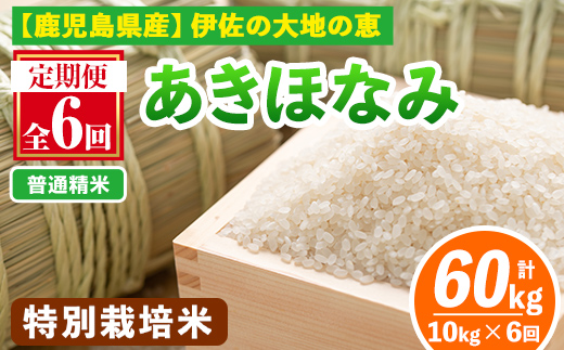 isa616-A 【定期便6回】＜普通精米＞令和7年産 鹿児島県伊佐産 特別栽培あきほなみ(計60kg・10kg×6ヵ月) 国産 白米 精米 無洗米 伊佐米 お米 米 生産者 定期便 あきほなみ アキホナミ 特別栽培米 【Farm-K】