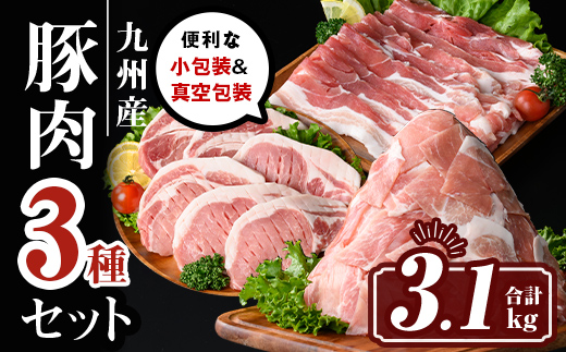 isa661 小分け・真空パック！九州産豚肉3種セット(合計3.1kg) バラスライス ロース とんかつ 生姜焼き 真空包装 真空パック 小分け ぶたにく 豚 肉 詰合せ 詰め合わせ 食べ比べ 冷凍 【サンキョーミート株式会社】