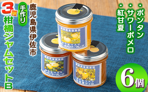 isa681 3種の柑橘ジャム食べ比べセットB(計6個・ボンタン、サワーポメロ、紅甘夏 各140g) 加工食品 果物 フルーツ 詰め合わせ 果肉 柑橘 低糖 ハンドメイド ジャム ギフト マーマレード 【薩摩美食倶楽部】