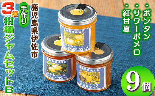 isa682 3種の柑橘ジャム食べ比べセットB(計9個・ボンタン、サワーポメロ、紅甘夏 各140g) 加工食品 果物 フルーツ 詰め合わせ 果肉 柑橘 低糖 ハンドメイド ジャム ギフト マーマレード 【薩摩美食倶楽部】