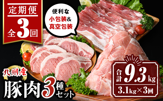 isa683 【定期便3回】小分け・真空パック！九州産豚肉3種セット(合計9.3kg・3.1kg×全3回)  バラスライス ロース とんかつ 生姜焼き 真空包装 真空パック 小分け ぶたにく 豚 肉 詰合せ 詰め合わせ 食べ比べ 冷凍 【サンキョーミート株式会社】