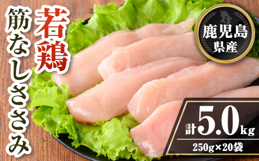 isa710 鹿児島県産 若鶏筋なしささみセット (計5kg・250g×20袋) 鹿児島県産 小分け 鶏肉 鳥肉 ささみ ササミ 筋なし 真空 真空パック サラダ 冷凍 【TRINITY】