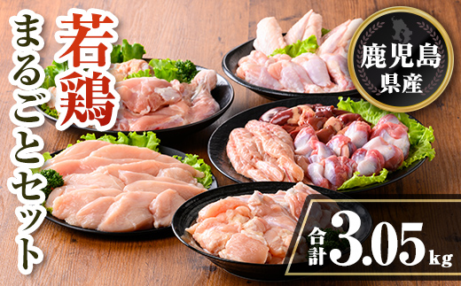 isa717 鹿児島県産 若鶏まるごとセット(合計3.05kg) 鹿児島県産 小分け 真空パック 鶏肉 鳥肉 もも肉 モモ肉 むね肉 ムネ肉 胸肉 ささみ ササミ 筋なし 砂肝 肝 手羽先 手羽中 手羽元 肩肉 小肉 骨付きモモ セット 詰め合わせ 冷凍 【TRINITY】