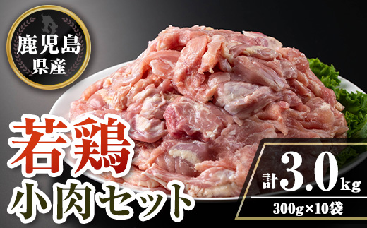 isa725 鹿児島県産若鶏小肉(せせり)セット(計3kg・300g×10P) 鹿児島県産 国産 鶏肉 鳥肉 とり肉 若鶏 小肉 せせり 焼き鳥 バーベキュー BBQ 炒め物 炭火焼 焼肉 チキン 冷凍肉 冷凍 タンパク質 たんぱく質 おつまみ おかず 希少部位 小分け 【TRINITY】