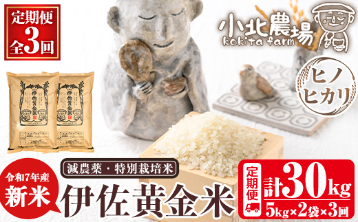 isa791 《数量限定・3回定期便》令和7年産 小北農場の新米 伊佐黄金米〈ヒノヒカリ〉(計30kg・5kg×2袋×3回) 鹿児島 伊佐 新米 お米 30kg 定期便 3回 特別栽培米 伊佐米 白米 ヒノヒカリ ひのひかり おにぎり ごはん  【小北農場】