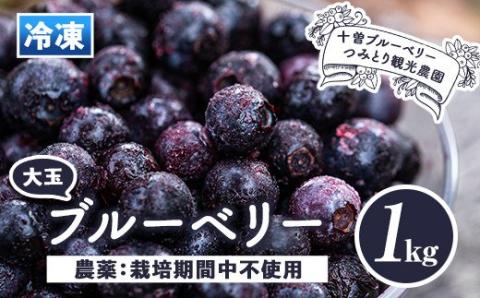 isa157 冷凍ブルーベリー(1kg) フルーツ 果物 冷凍 冷凍便 [伊佐ブルーベリーつみとり観光農園]