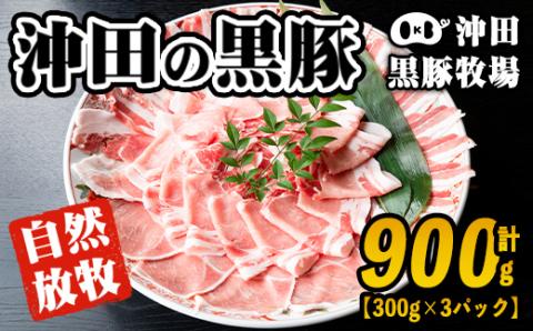  鹿児島県産!幻の黒・沖田の黒豚(計900g・ロース、肩ロース、バラ、モモ、ウデいずれか3パック) 自然放牧・自家製飼料で大切に育てられた黒豚肉 国産 九州産 鹿児島 肉 お肉 黒豚 豚肉 生姜焼き しょうが焼き しゃぶしゃぶ 冷凍 冷凍便[沖田黒豚牧場]