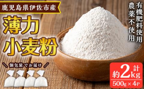isa480[毎月数量限定]あんしん小麦粉・薄力粉(約500g×4袋・計約2kg)[しげふみファーム]
