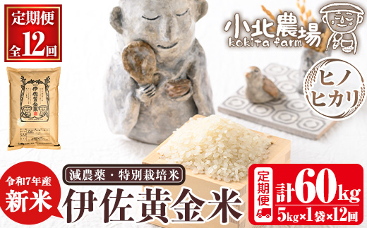 ふるさと納税 鹿児島県 伊佐市 isa517-A  ＜普通精米＞選べる精米方法！令和5年産 鹿児島県伊佐産 特別栽培ひのひかり(計60kg・10kg×6ヵ月) 国… 令和7年産！鹿児島県伊佐市のふるさと納税、新米の先行予約開始