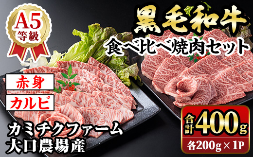 isa688 鹿児島県(カミチクファーム 大口農場)産 黒毛和牛食べ比べ焼肉セット(合計400g・赤身・カルビ各200g×1パック) 黒毛和牛 焼肉 食べ比べ セット 和牛 A5 ランク 雌牛 霜降り 赤身 肩 カルビ モモ バラ 牛肉 アウトドア 小分け 冷凍 【お肉の直売所 伊佐店】