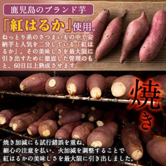 a885 しっとり食感の干し芋けんぴ(合計1kg・100g×10袋)【ファーム工房】姶良市 国産 鹿児島県産 長期熟成 紅はるか ほしいも さつまいも サツマイモ 焼芋 焼き芋 着色料・保存料不使用 無添加 スイーツ おやつ