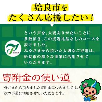 a474 ≪返礼品なし≫鹿児島県姶良市への寄附【姶良市】