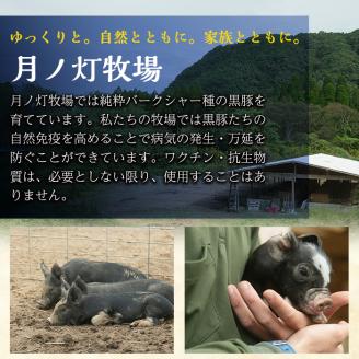 a830 《数量限定》月ノ灯牧場直送！完全無投薬・放牧の鹿児島県産黒豚ロースセット合計1kg(トンカツ用500g・スライス500g)【pig village company】 姶良市 冷凍 とんかつ 豚カツ ロース カツ 豚ロース 生姜焼き 放牧飼育 セット