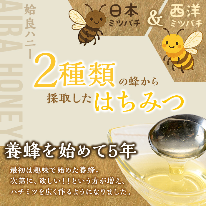 a1002-B 《期間限定！》姶良ハニー(500g)【原電設工業】 姶良市 国産 ハチミツ はちみつ 蜂蜜 百花蜜 蜜 常温 常温保存