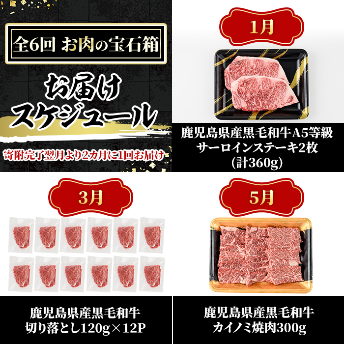 a1035 《定期便全6回》黒毛和牛満喫セット(計4.26kg)サーロインステーキ・切り落とし・カイノミ焼肉・ハンバーグ・赤身ランプステーキ・サーロインスライスの定期便【水迫畜産】国産 鹿児島産 肉 牛肉 牛 冷凍