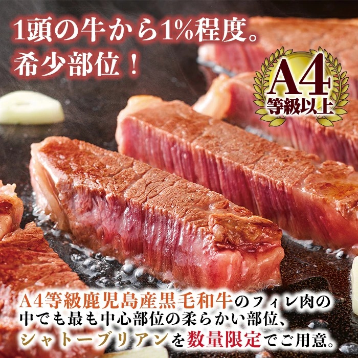 a1076 A4等級 以上 鹿児島産黒毛和牛・シャトーブリアン5枚(合計500g)【財宝】国産 牛肉 希少部位 フィレ ステーキ