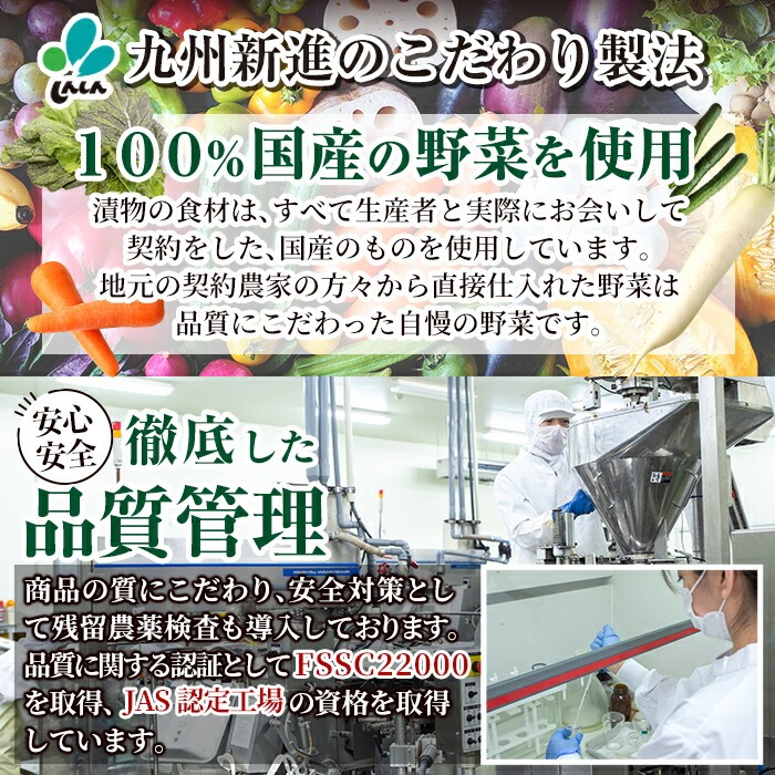 a568-B 九州産辛子高菜4kg(1kg×4パック)【九州新進】姶良市 国産 九州産 たかな 漬物 漬け物 ご飯のお供 おかず おつまみ おにぎり 常温 常温保存