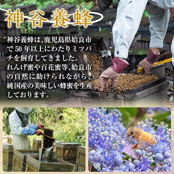 a686 国産！純粋はちみつ(600g)【神谷養蜂】 姶良市 姶良市産 はちみつ 蜂蜜 ハニー 純粋 純国産 常温 常温保存