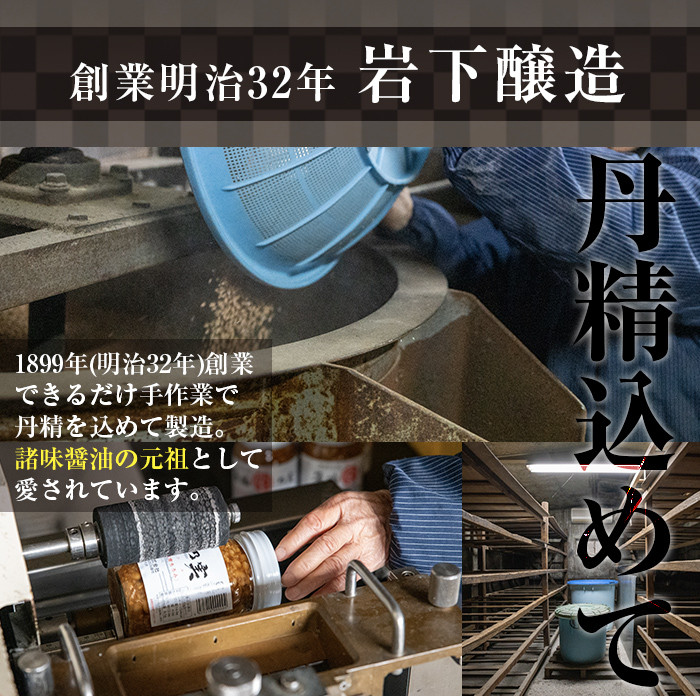 a757 醤油の実(約2.8kg・480g×6本)【岩下醸造】姶良市 常温 瓶詰め