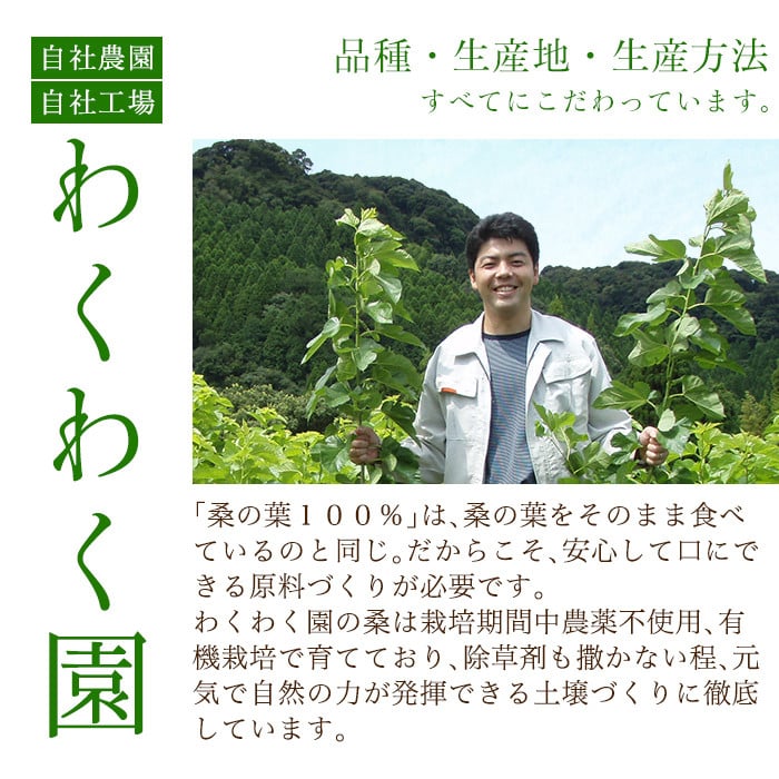 a795 国産！わくわく園さつま桑青汁・計200g(100g×2袋)【わくわく園】 姶良市 桑の葉 青汁 桑 青汁 粉末青汁 スティックタイプ 国産 高級品種 センシン