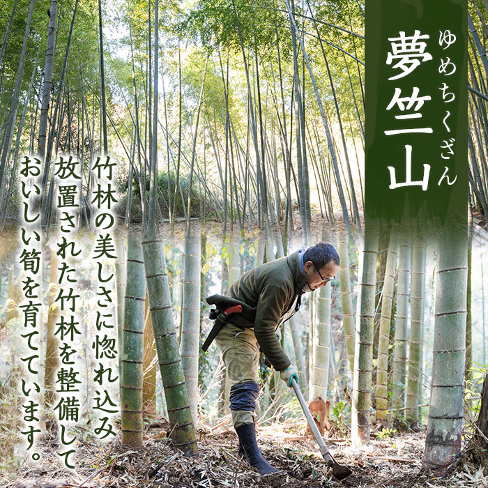 a806 ＜先行予約受付中！2025年12月下旬～2026年2月末の間に発送予定＞数量限定！早堀り筍(正味約1.5kg)【夢竺山株式会社】国産 早堀り たけのこ タケノコ 筍 竹の子