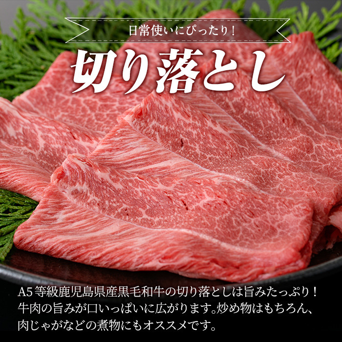 a856 ≪A5等級≫鹿児島県産黒毛和牛切り落とし計900g(300g×3P)【水迫畜産】 姶良市 国産 牛肉 切り落とし