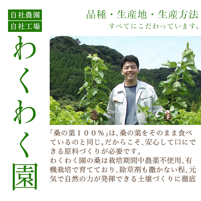 a932 さつま桑青汁314本セット【わくわく園】桑の葉 青汁 桑 青汁 粉末青汁 スティックタイプ 国産 高級品種 センシン