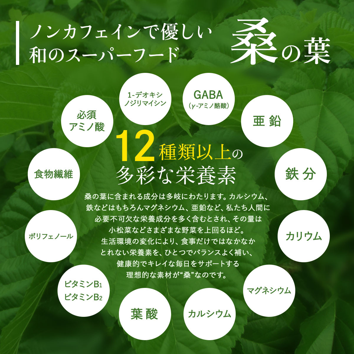 a934 さつま桑粒10袋セット【わくわく園】桑の葉 サプリ サプリメント くわ 天然100％ 有機 桑の葉 有機JAS