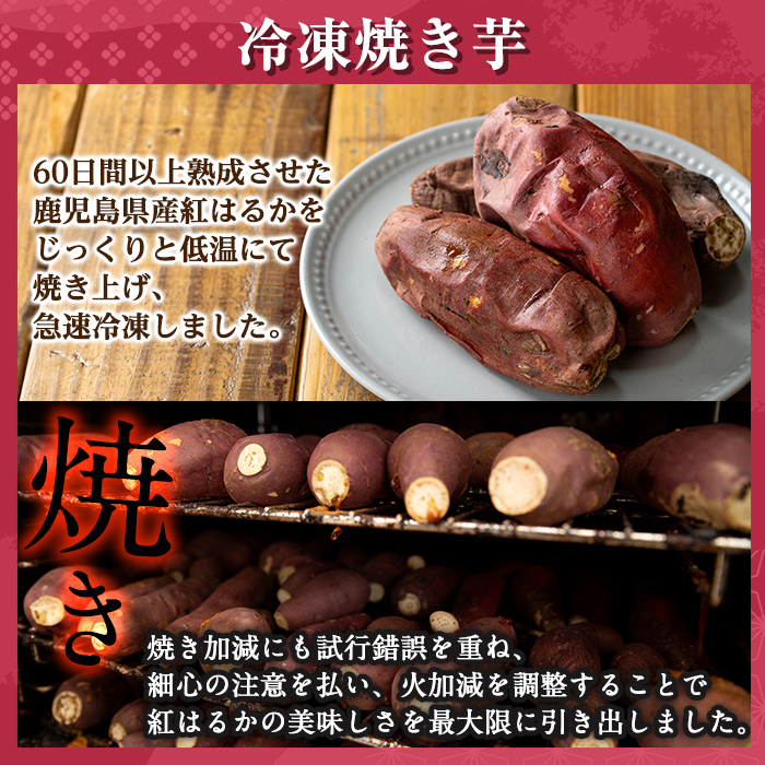 a956-A 冷凍焼き芋スイーツセット(Aセット：冷凍焼き芋（紅はるか）1kg×2袋・500g×1袋)【ファーム工房】 姶良市 国産 鹿児島県産 さつまいも サツマイモ 長期熟成 紅はるか 焼き芋 焼芋 焼き芋  スイーツ おやつ