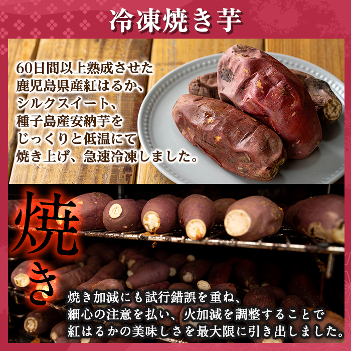 a956-E 冷凍焼き芋スイーツセット(Eセット：冷凍焼き芋（紅はるか）1kg×1袋、冷凍焼き芋（安納芋・シルクスイート）各500g×2袋、焼き芋から作った干し芋（紅はるか）200g×1袋)【ファーム工房】 姶良市 国産 鹿児島県産 さつまいも サツマイモ 長期熟成 紅はるか ほしいも 干し芋 焼き芋 焼芋 焼き芋  スイーツ おやつ