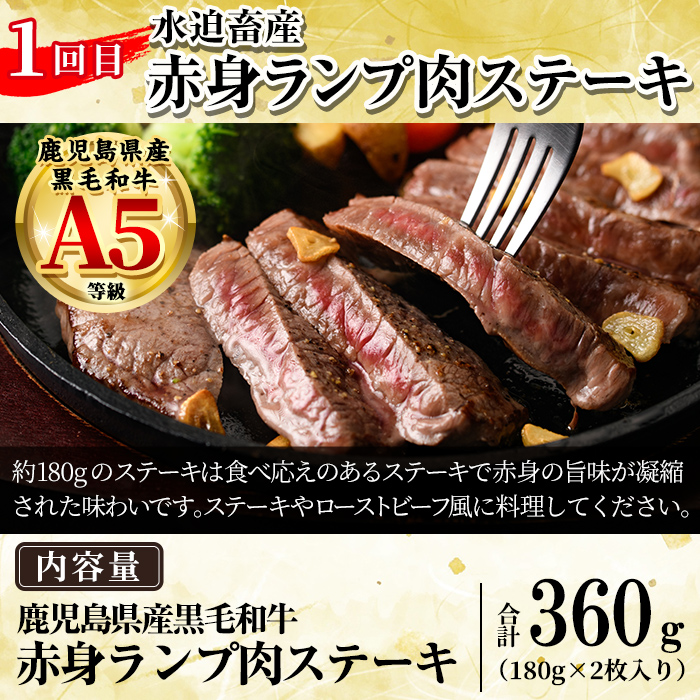 a969-B ＜コラボ定期便！＞姶良市おすすめ！ステーキ肉定期便(全6回)【水迫畜産・財宝】 姶良市 コラボ こらぼ 国産 鹿児島産 お肉 肉 牛肉 ステーキ 冷凍 ランプ シャトーブリアン サーロイン