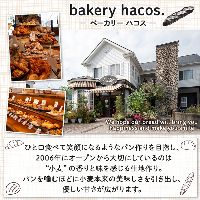 a984 ハコスおすすめのパン詰合せセット(計7種)【bakery hacos】姶良市 パン 冷凍パン 詰め合わせ 惣菜パン 菓子パン パイ アップルパイ めんたいフランス クランベリーチーズ メロンパン 練乳小豆フランス 大納言 ブール