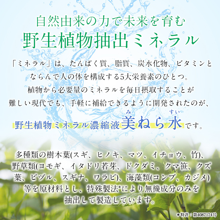 a991 美ねら水(みねらすい)・野生植物抽出ミネラル含有溶液(1本・100ml)【鹿児島ますや】 姶良市 みねらる ミネラル 鮮度維持 栄養補給 健康補助 健康食品 栄養 健康