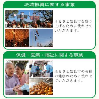 a474 ≪返礼品なし≫鹿児島県姶良市への寄附【姶良市】