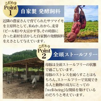 a830 《数量限定》月ノ灯牧場直送！完全無投薬・放牧の鹿児島県産黒豚ロースセット合計1kg(トンカツ用500g・スライス500g)【pig village company】 姶良市 冷凍 とんかつ 豚カツ ロース カツ 豚ロース 生姜焼き 放牧飼育 セット