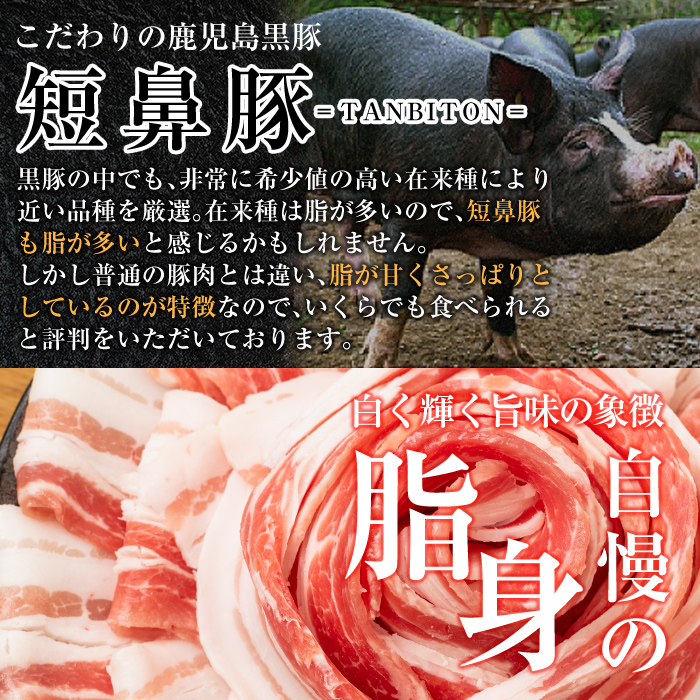 a010-B 【3回定期便】鹿児島黒豚「短鼻豚」無添加ソーセージ4種詰め合わせ(4種各1パック×3回)【鹿児島ますや】姶良市 ウインナー ウィンナー フランクフルト 豚肉 おかず