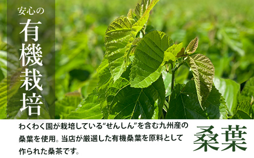a1015 菊芋桑茶 (60包)【わくわく園】 姶良市 菊芋 スーパーフード 桑の葉茶 健康茶 ハーブ マルベリー ノンカフェイン