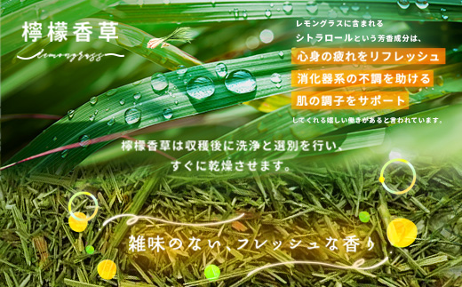 a1022 檸檬桑茶(2g×100包)【わくわく園】姶良市 レモングラス ハーブ 檸檬 香草ブレンド 桑の葉 桑茶 健康茶 ノンカフェイン