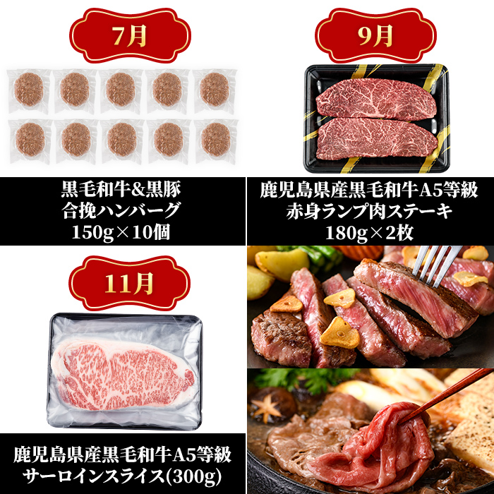 a1035 《定期便全6回》黒毛和牛満喫セット(計4.26kg)サーロインステーキ・切り落とし・カイノミ焼肉・ハンバーグ・赤身ランプステーキ・サーロインスライスの定期便【水迫畜産】国産 鹿児島産 肉 牛肉 牛 冷凍