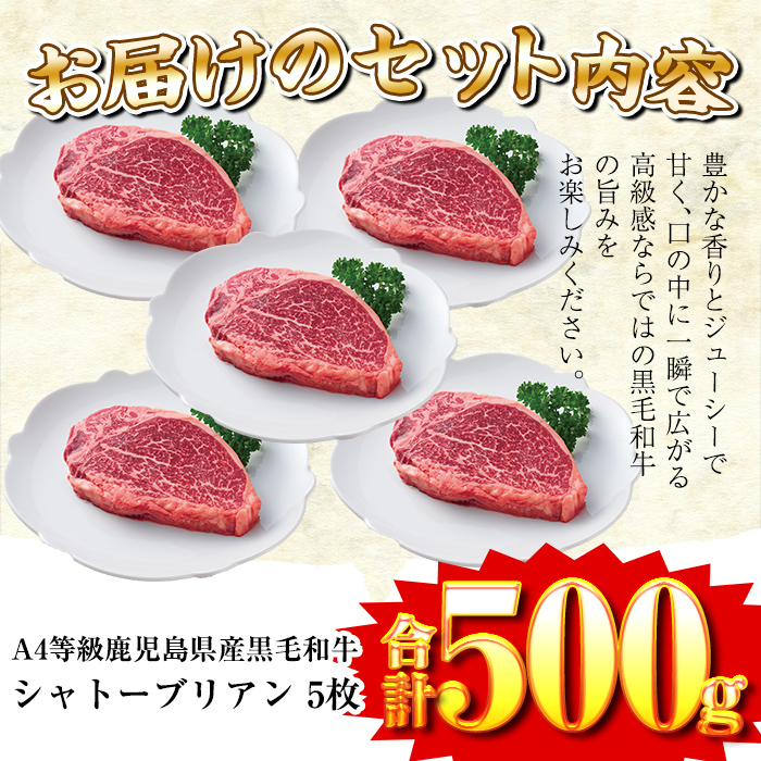 a1076 A4等級 以上 鹿児島産黒毛和牛・シャトーブリアン5枚(合計500g)【財宝】国産 牛肉 希少部位 フィレ ステーキ