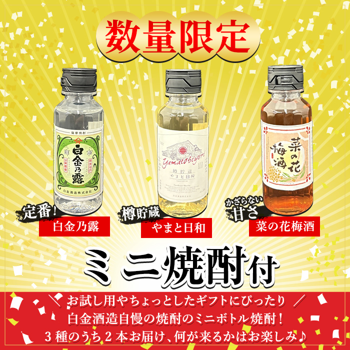a475 《数量限定！ミニ焼酎ランダム2本付き》本格焼酎飲み比べ！白金酒造の定番芋焼酎白金乃露・白金乃露黒(各900ml)と白金酒造のいも焼酎で作った菜の花梅酒(500ml)の3本が楽しめる菜の花セット【白金酒造】 姶良市 酒 焼酎 本格芋焼酎 本格焼酎 芋焼酎 芋 梅酒 飲み比べ セット